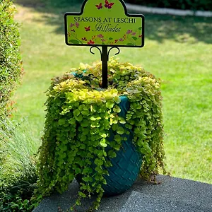 Seasons At Leschi Hillsides USA
